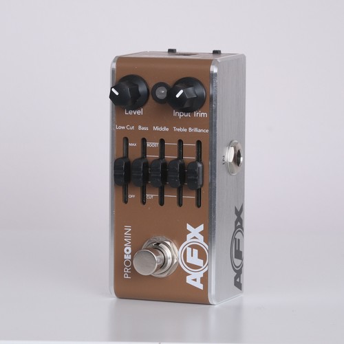 Fishman afx pro - pro, mini
